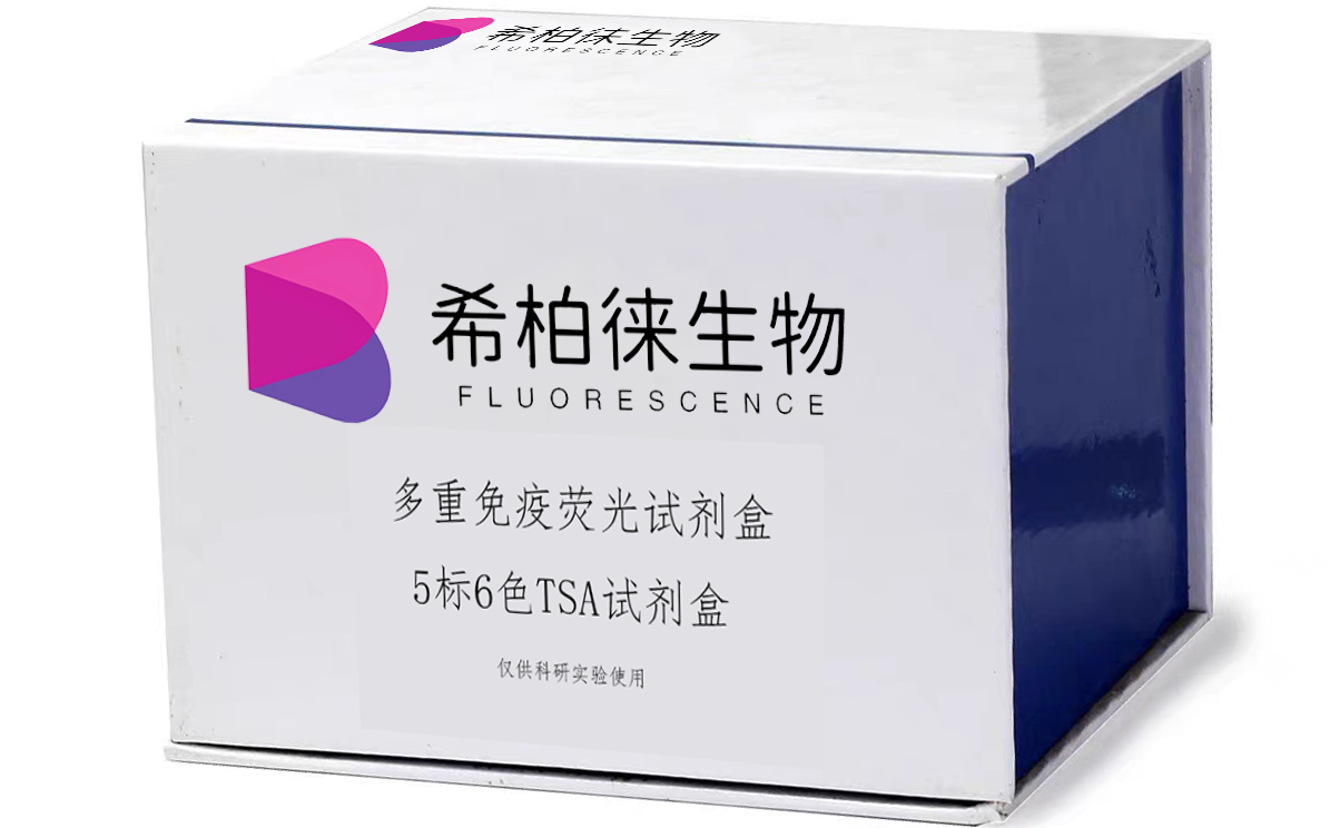 高级病理试剂盒
