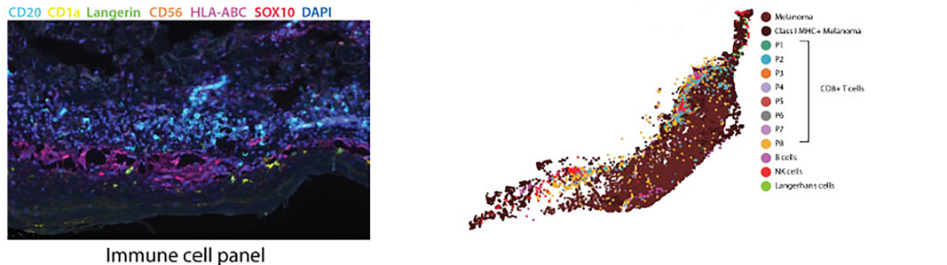 数字病理图像预处理